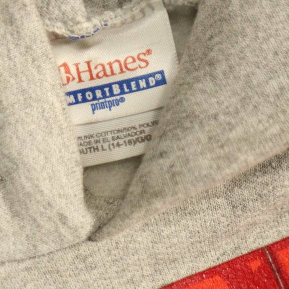 CHEER AMERICA Gray Hoodie Size Youth L 14-16 - Picture 4 of 6